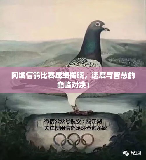 阿城信鴿比賽成績揭曉，速度與智慧的巔峰對決！