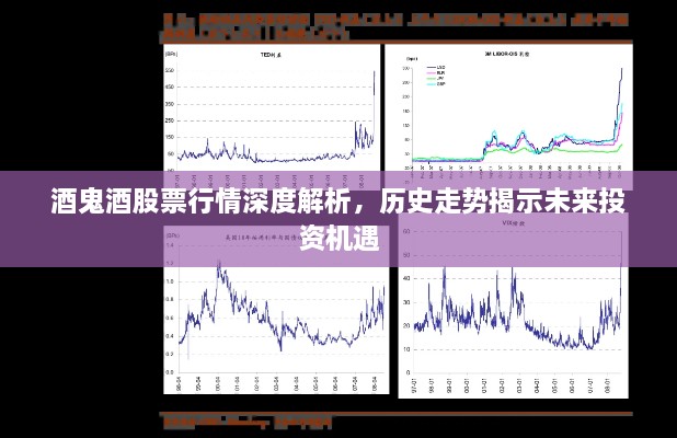 酒鬼酒股票行情深度解析，歷史走勢(shì)揭示未來(lái)投資機(jī)遇