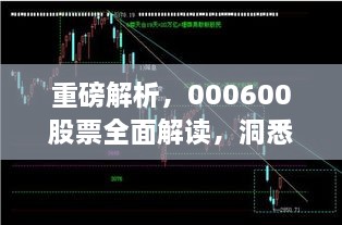 重磅解析，000600股票全面解讀，洞悉投資趨勢！