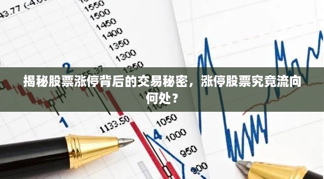 揭秘股票漲停背后的交易秘密，漲停股票究竟流向何處？