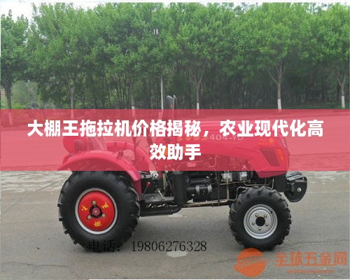 大棚王拖拉機(jī)價格揭秘，農(nóng)業(yè)現(xiàn)代化高效助手