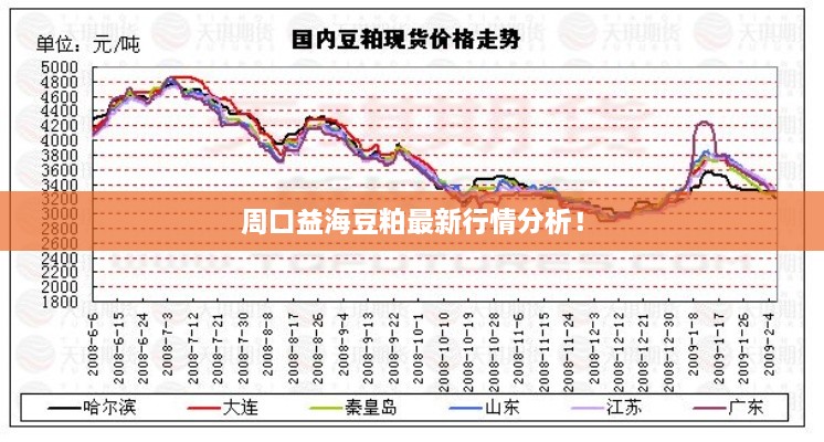 周口益海豆粕最新行情分析！