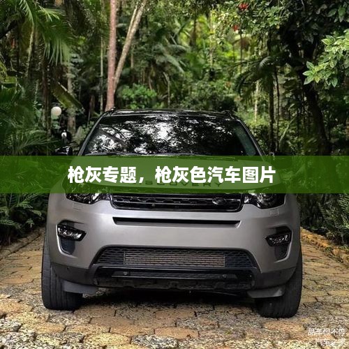 槍灰專題，槍灰色汽車圖片 