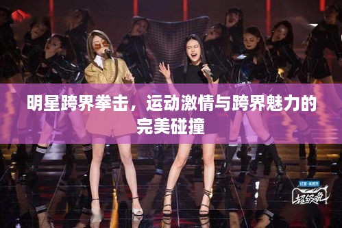 明星跨界拳擊，運(yùn)動激情與跨界魅力的完美碰撞