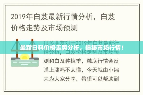 最新白料價格走勢分析，揭秘市場行情！