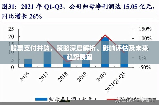 股票支付并購，策略深度解析、影響評估及未來趨勢展望