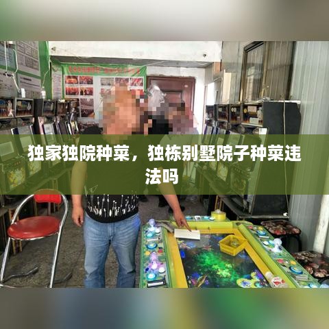 獨家獨院種菜，獨棟別墅院子種菜違法嗎 