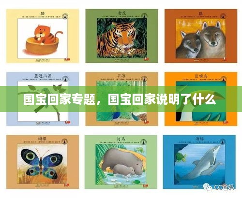 國(guó)寶回家專題，國(guó)寶回家說(shuō)明了什么 
