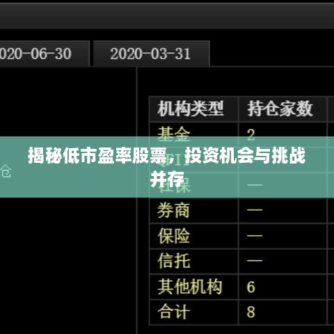 揭秘低市盈率股票，投資機(jī)會(huì)與挑戰(zhàn)并存