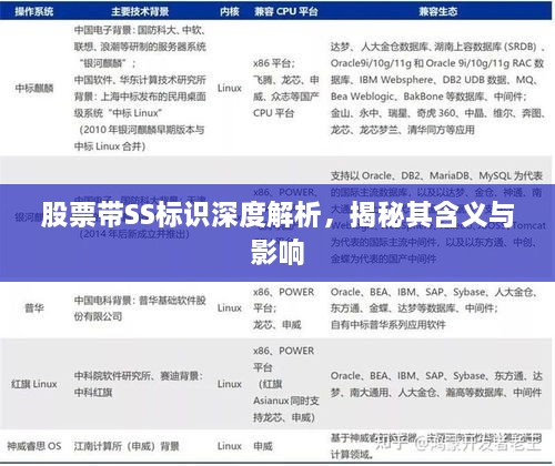 股票帶SS標識深度解析，揭秘其含義與影響