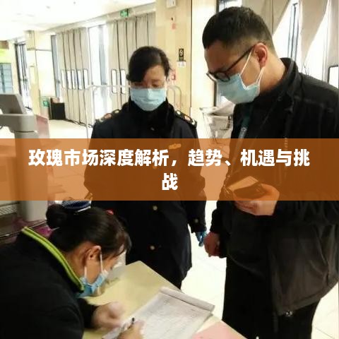 玫瑰市場(chǎng)深度解析，趨勢(shì)、機(jī)遇與挑戰(zhàn)
