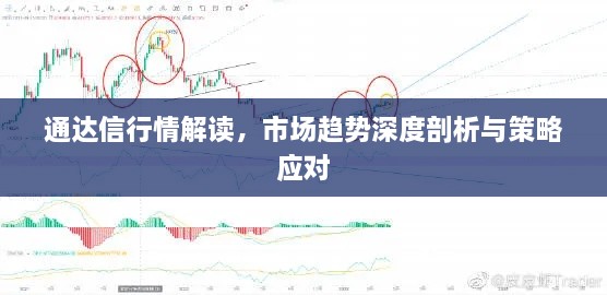 通達(dá)信行情解讀，市場趨勢深度剖析與策略應(yīng)對