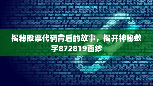 揭秘股票代碼背后的故事，揭開神秘?cái)?shù)字872819面紗