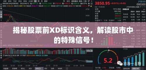 揭秘股票前XD標(biāo)識(shí)含義，解讀股市中的特殊信號(hào)！