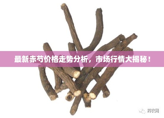 最新赤芍價(jià)格走勢(shì)分析，市場(chǎng)行情大揭秘！