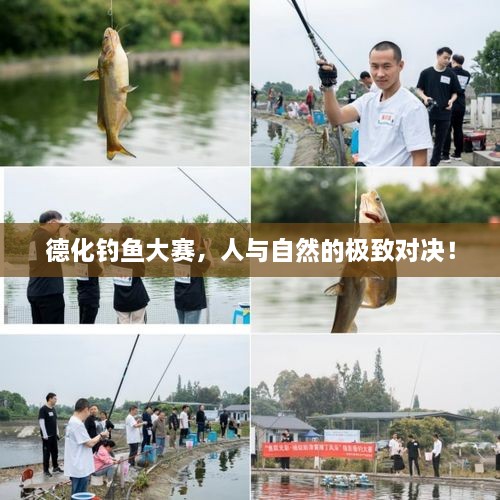 德化釣魚大賽，人與自然的極致對(duì)決！