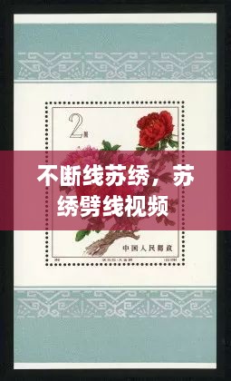 不斷線蘇繡，蘇繡劈線視頻 