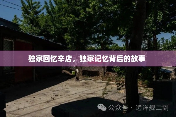 獨家回憶辛店，獨家記憶背后的故事 