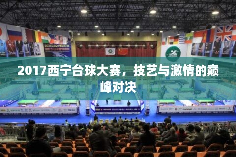 2017西寧臺(tái)球大賽，技藝與激情的巔峰對(duì)決