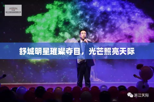 舒城明星璀璨奪目，光芒照亮天際