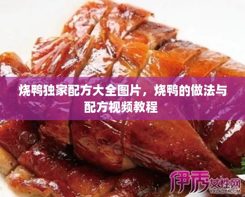燒鴨獨(dú)家配方大全圖片，燒鴨的做法與配方視頻教程 
