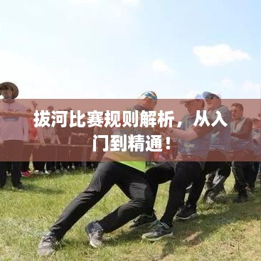 拔河比賽規(guī)則解析，從入門到精通！