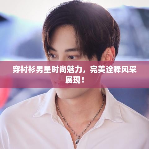 穿襯衫男星時(shí)尚魅力，完美詮釋風(fēng)采展現(xiàn)！