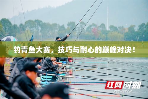 釣青魚大賽，技巧與耐心的巔峰對決！