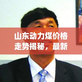 山東動力煤價格走勢揭秘，最新行情分析報告