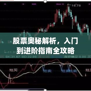 股票奧秘解析，入門到進(jìn)階指南全攻略
