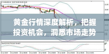 黃金行情深度解析，把握投資機(jī)會(huì)，洞悉市場(chǎng)走勢(shì)