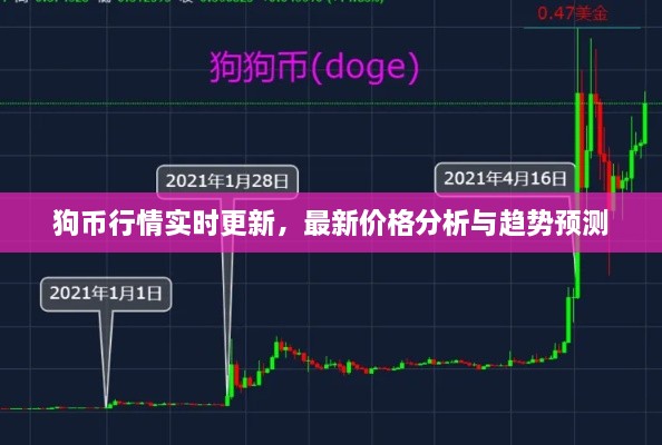 狗幣行情實時更新，最新價格分析與趨勢預(yù)測