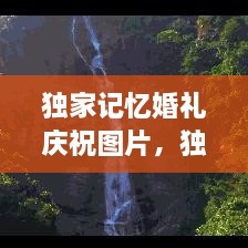 獨(dú)家記憶婚禮慶祝圖片，獨(dú)家記憶圖片唯美 