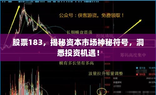 股票183，揭秘資本市場神秘符號，洞悉投資機遇！