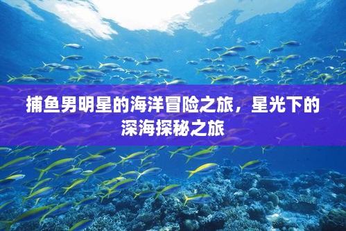 捕魚(yú)男明星的海洋冒險(xiǎn)之旅，星光下的深海探秘之旅