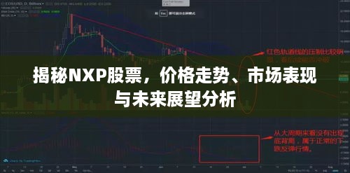 揭秘NXP股票，價格走勢、市場表現(xiàn)與未來展望分析