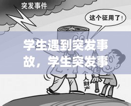 學生遇到突發(fā)事故，學生突發(fā)事件的處理原則 