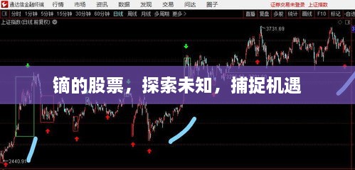 鏑的股票，探索未知，捕捉機遇