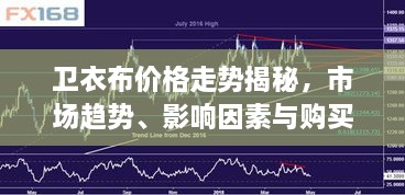 衛(wèi)衣布價格走勢揭秘，市場趨勢、影響因素與購買指南
