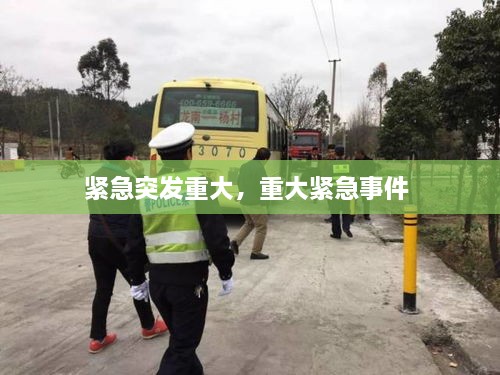 緊急突發(fā)重大，重大緊急事件 