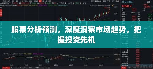 股票分析預(yù)測(cè)，深度洞察市場(chǎng)趨勢(shì)，把握投資先機(jī)