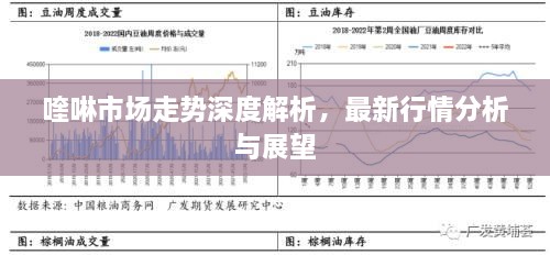 喹啉市場走勢深度解析，最新行情分析與展望