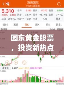 園東黃金股票，投資新熱點，財富新選擇