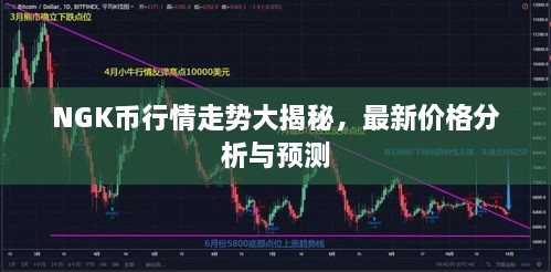 NGK幣行情走勢大揭秘，最新價格分析與預(yù)測