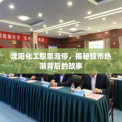 沈陽(yáng)化工股票漲停，揭秘股市熱潮背后的故事