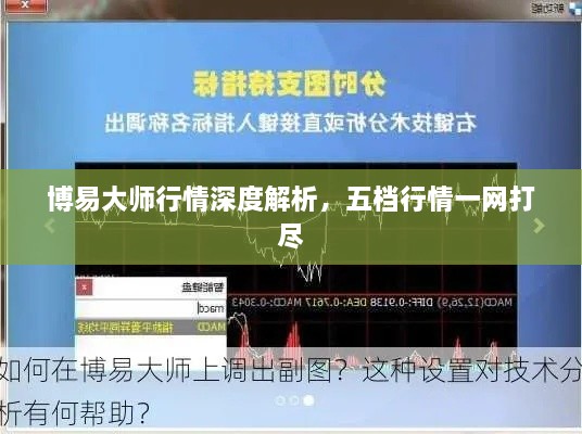 博易大師行情深度解析，五檔行情一網(wǎng)打盡