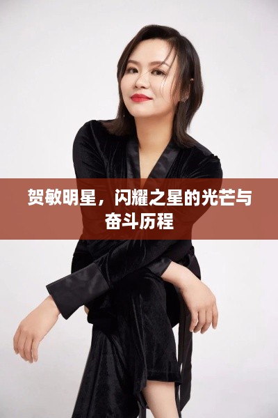 賀敏明星，閃耀之星的光芒與奮斗歷程