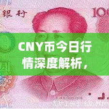 CNY幣今日行情深度解析，最新價格動態(tài)一網(wǎng)打盡！