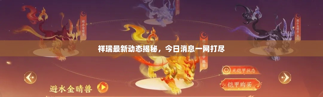 祥瑞最新動態(tài)揭秘，今日消息一網(wǎng)打盡