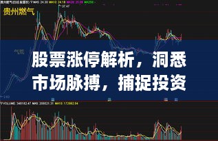 股票漲停解析，洞悉市場脈搏，捕捉投資黃金機會